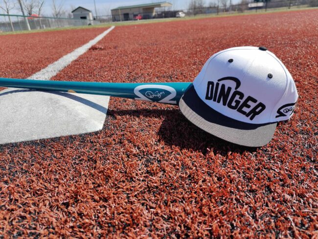 Black & White Dinger Hat